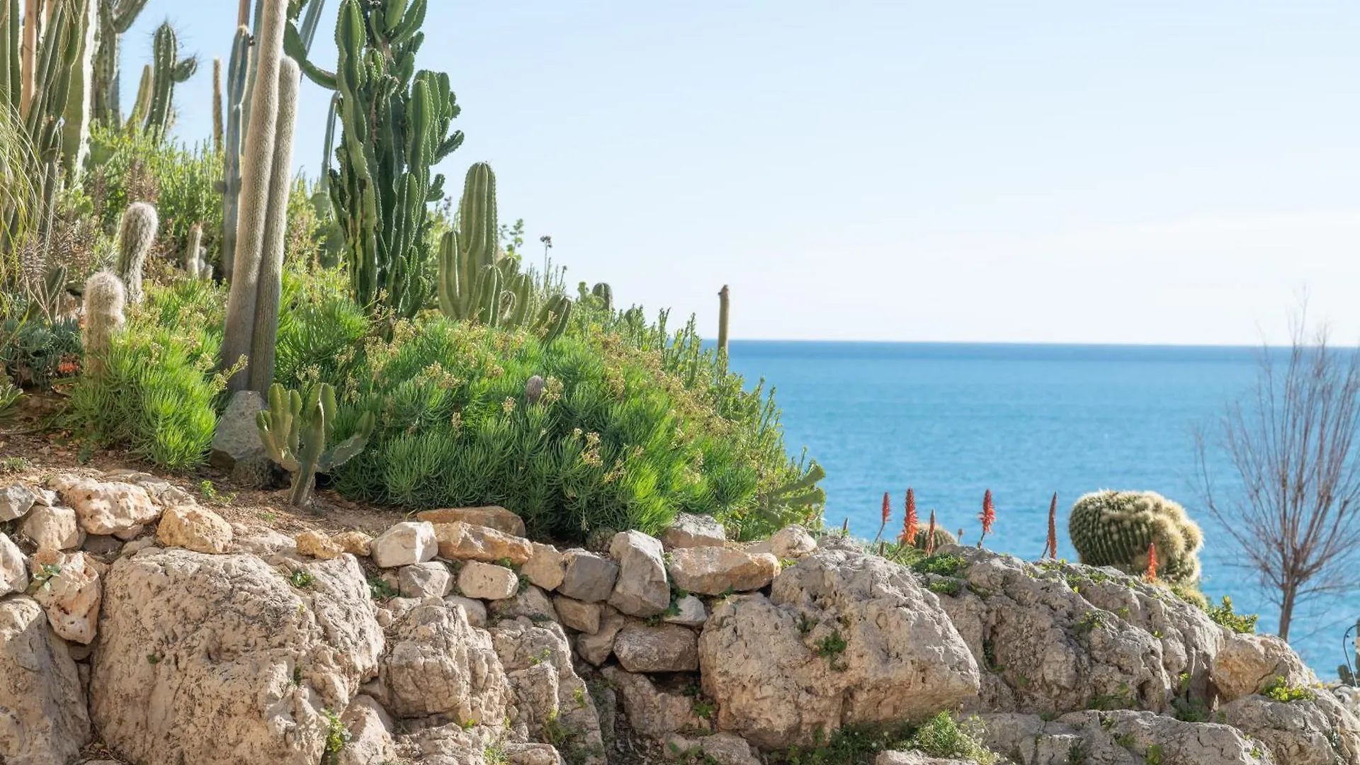 La Pablita, Vieil Antibes, Remparts Lägenhet